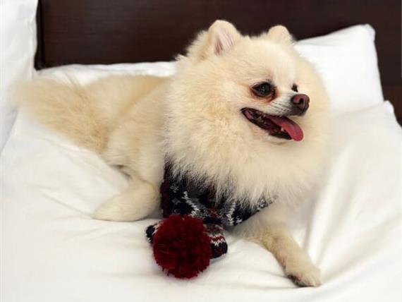 whatsapp image 2025-06-29 at 22.20.36 (1).jpeg