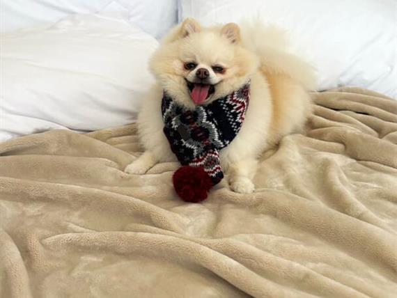 whatsapp image 2025-06-29 at 22.20.35 (2).jpeg