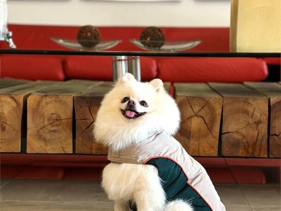 whatsapp image 2025-06-29 at 22.20.37 (2).jpeg