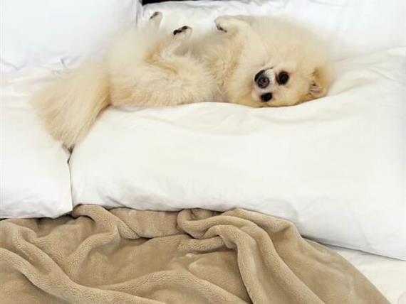 whatsapp image 2025-06-29 at 22.20.36 (2).jpeg