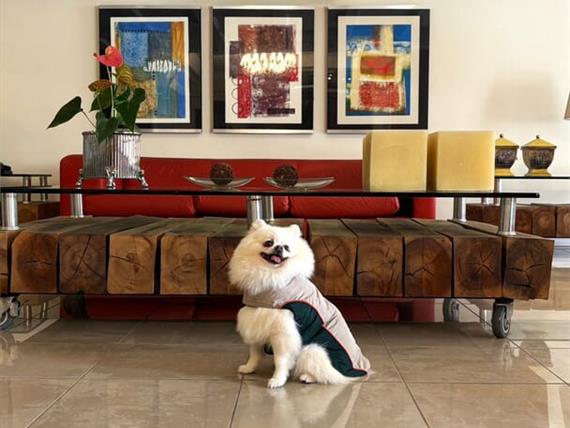 whatsapp image 2025-06-29 at 22.20.37.jpeg