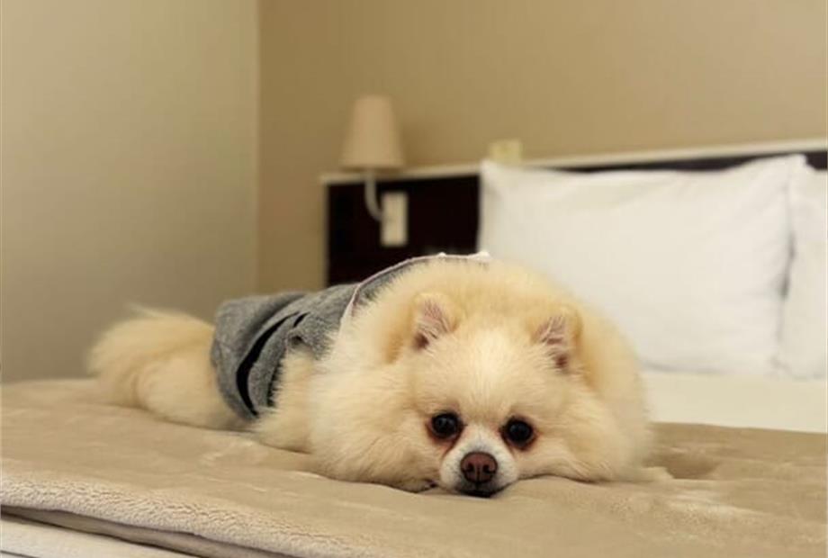 whatsapp image 2025-06-29 at 22.20.35.jpeg