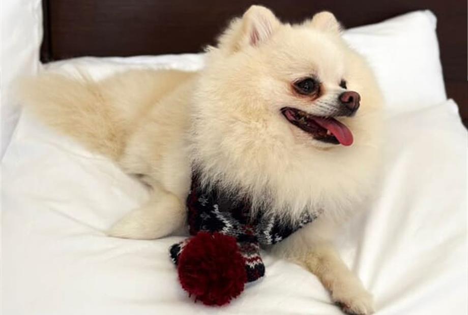 whatsapp image 2025-06-29 at 22.20.36 (1).jpeg