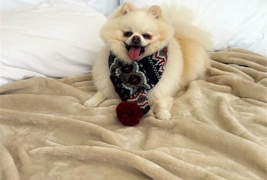 whatsapp image 2025-06-29 at 22.20.35 (2).jpeg