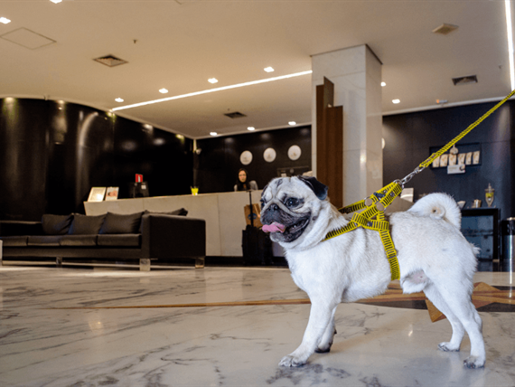 design sem nome (21).png