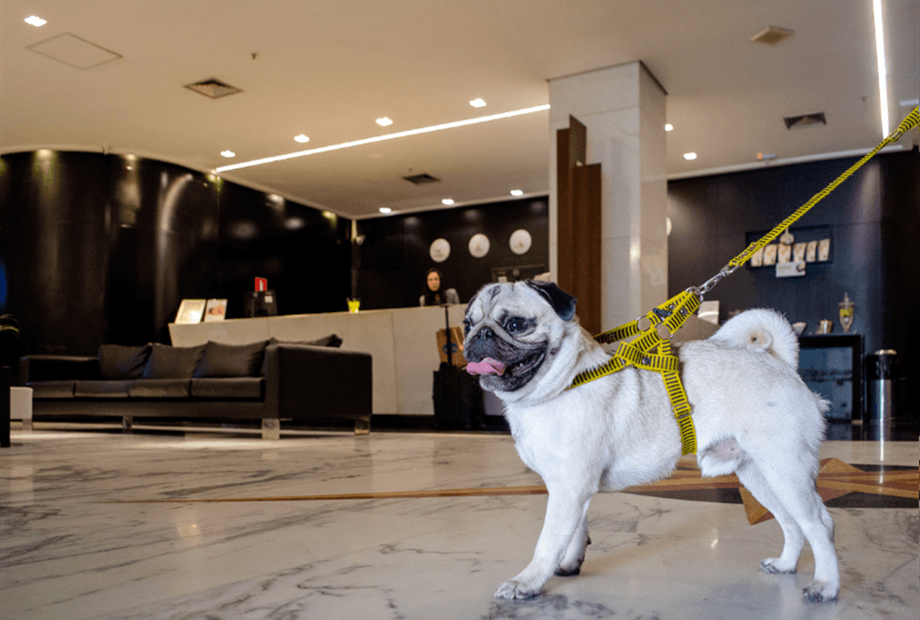 design sem nome (21).png