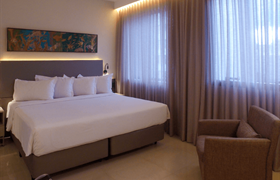 Super Luxury Double Room of Royal Collection Savassi ( antigo Royal Boutique Savassi)