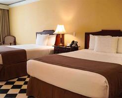 ESTANDARD DOUBLE QUEEN