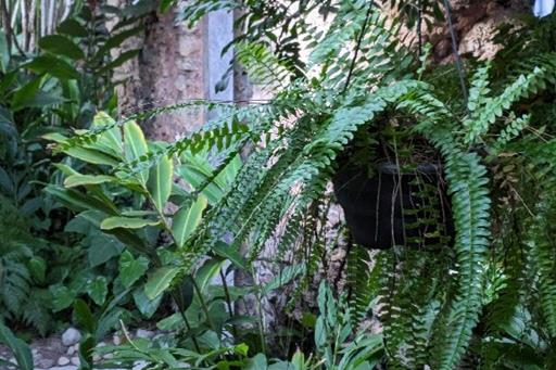 whatsapp image 2024-06-30 at 09.16.44 (1).jpg