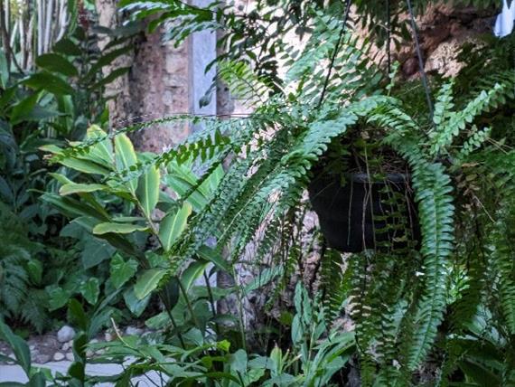 whatsapp image 2024-06-30 at 09.16.44 (1).jpg