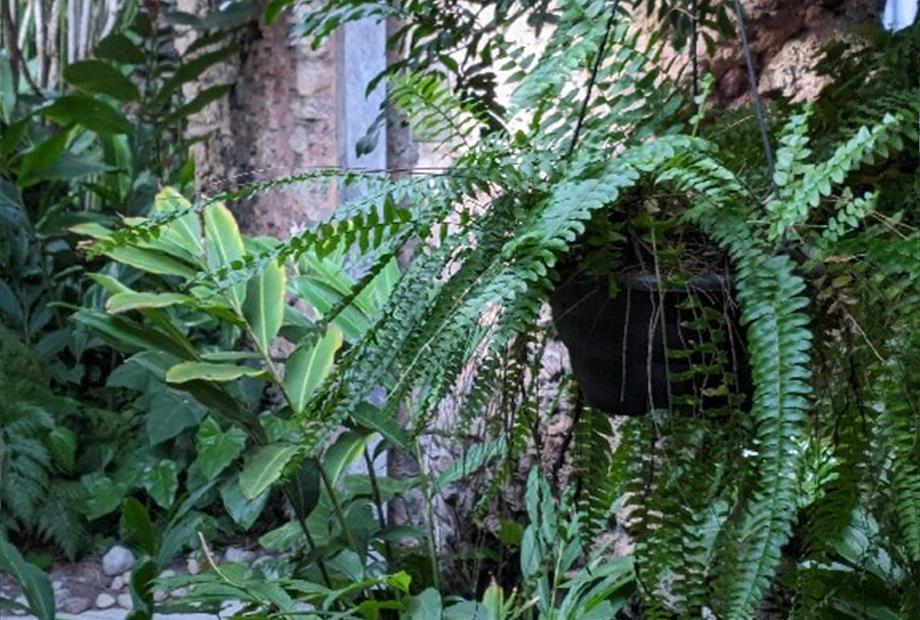 whatsapp image 2024-06-30 at 09.16.44 (1).jpg