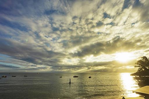 marlins.pipa.paisagem (1).jpg