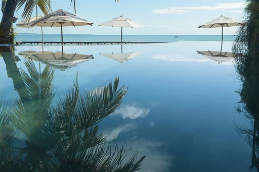 marlins.pipa.piscina (3).jpg