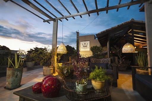 marlins.pipa.solarium (6).jpg