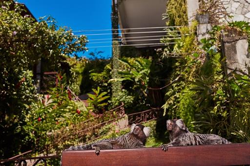 marlins.pipa.jardim (9).jpg