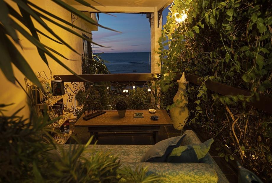 marlins.pipa.lat (3).jpg