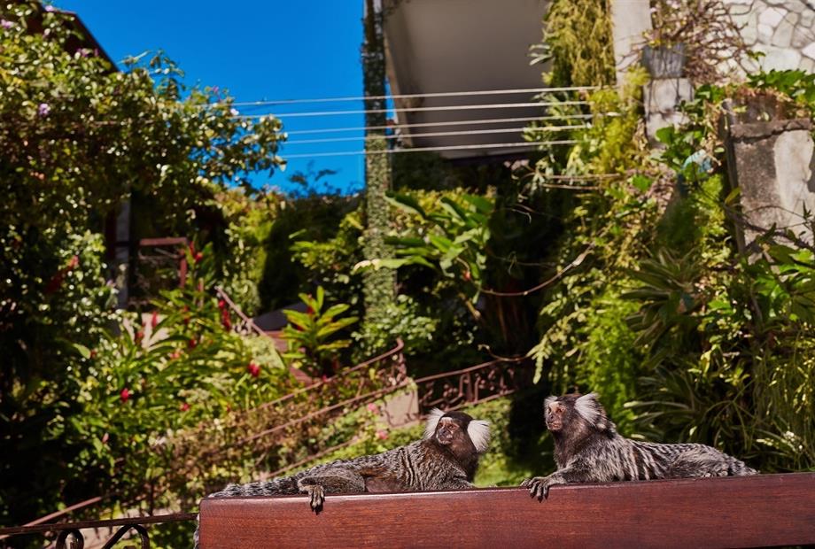 marlins.pipa.jardim (9).jpg