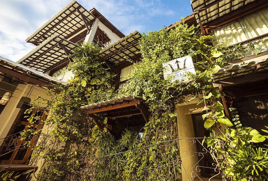 marlins.pipa.b2 (2).jpg