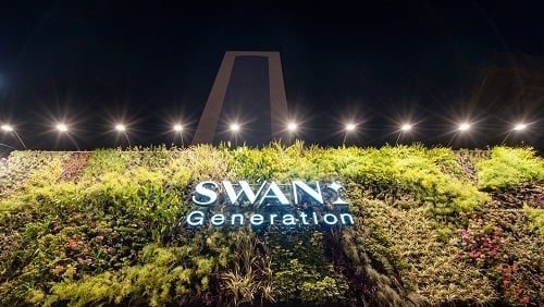 hotel swan 18-  Swan Generation.jpg