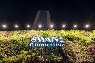 hotel swan 18-  Swan Generation.jpg