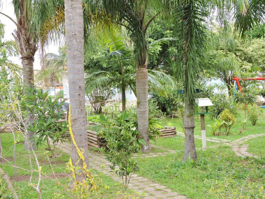 área verde.jpg