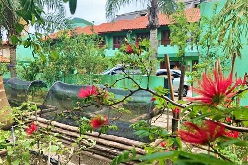 flor área verde.jpg