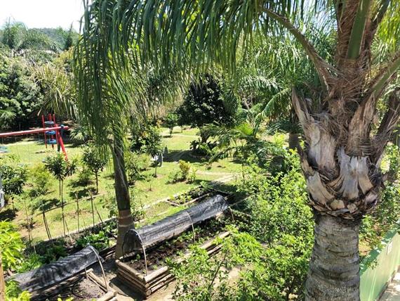 área verde vista de cima.jpg