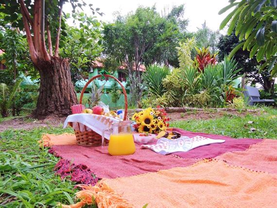 piquenique.jpg