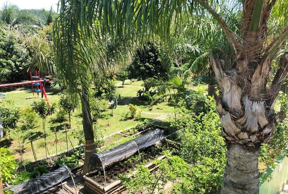 área verde vista de cima.jpg