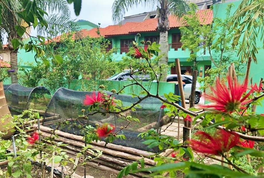 flor área verde.jpg