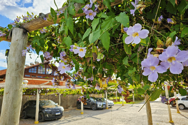 Foto 55 de Hotel Pousada Águas de Bonito