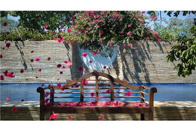 _B1A6943  capa MY BLUE HOTEL.jpg