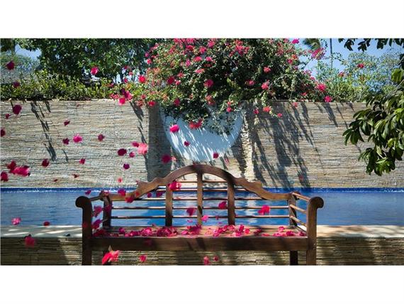 _B1A6943  capa MY BLUE HOTEL.jpg