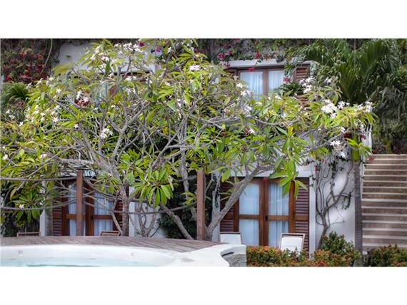 16102012-_MG_0181 alberu in fiori sfuoco.jpg