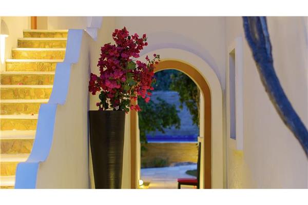 Foto 4 do My Blue Hotel