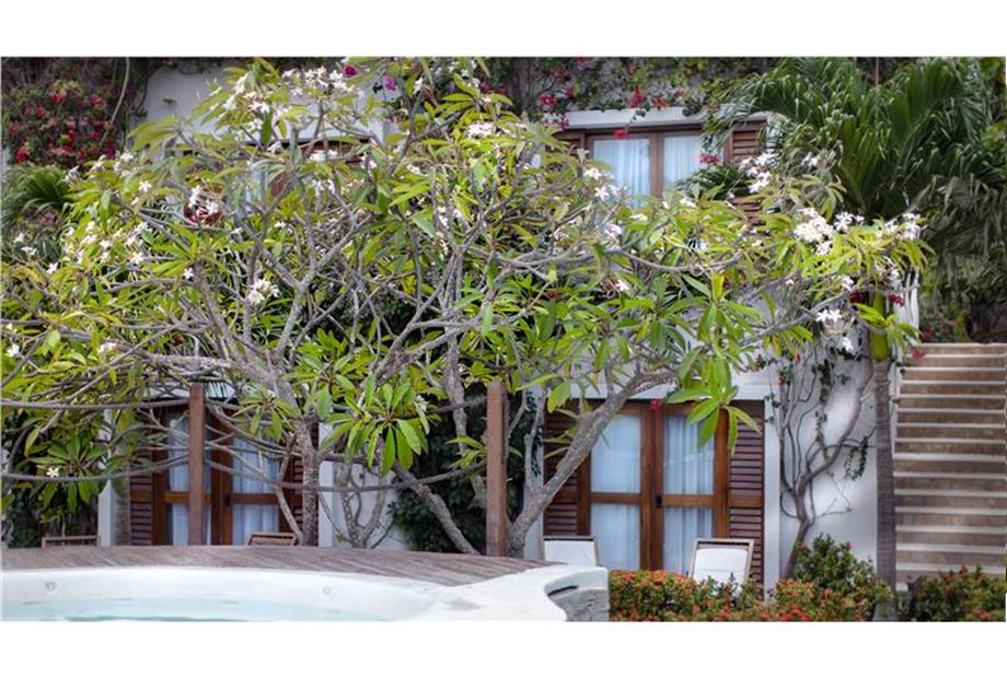 16102012-_MG_0181 alberu in fiori sfuoco.jpg