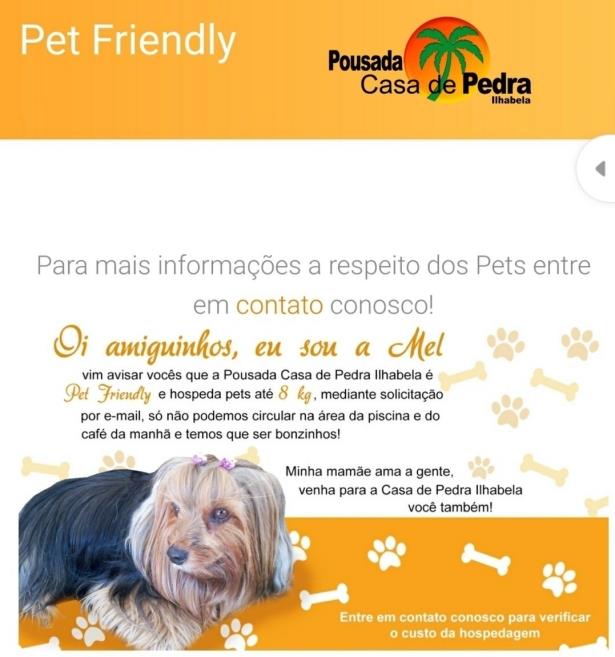 Pet.jpg