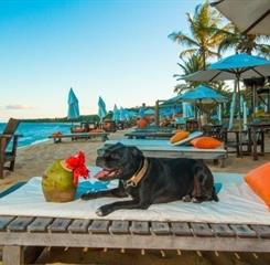 _MG_1476 - REDUZIDA.JPG