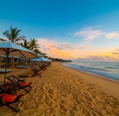 _MG_1110  - REDUZIDA.JPG