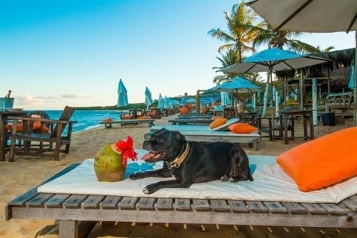 _MG_1476 - REDUZIDA.JPG