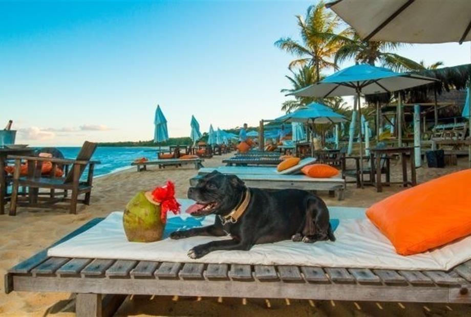 _MG_1476 - REDUZIDA.JPG