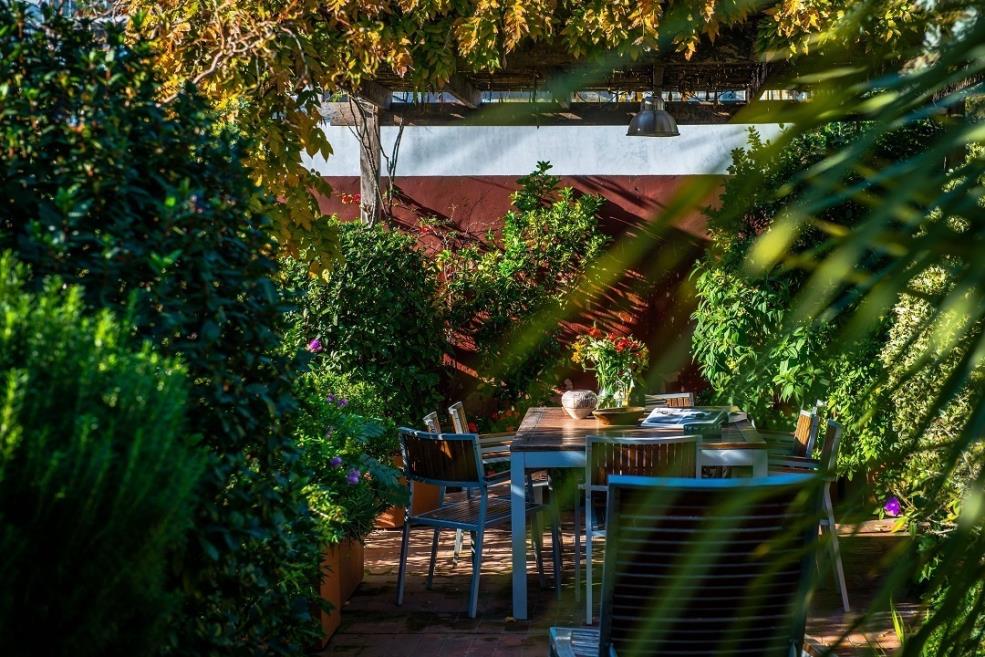 terraço (1).jpg