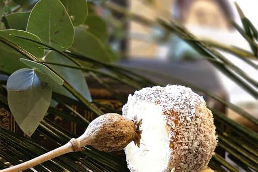 20240130_144507 (1).jpg