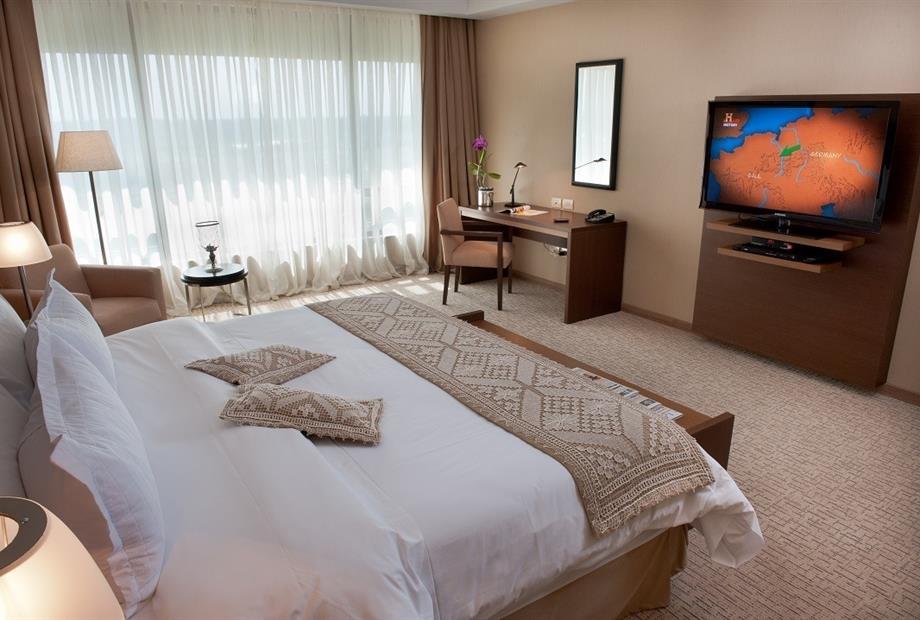 premier suite (2).jpg