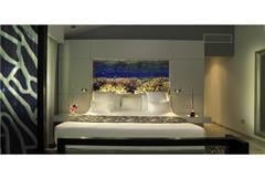 PARADISUS JUNIOR SUITE