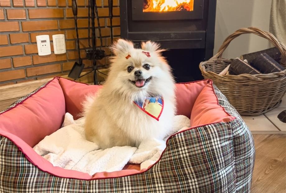 whatsapp image 2025-12-03 at 13.55.47.jpeg