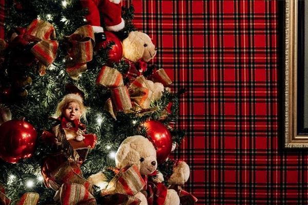 Foto 187 do Casa da Montanha