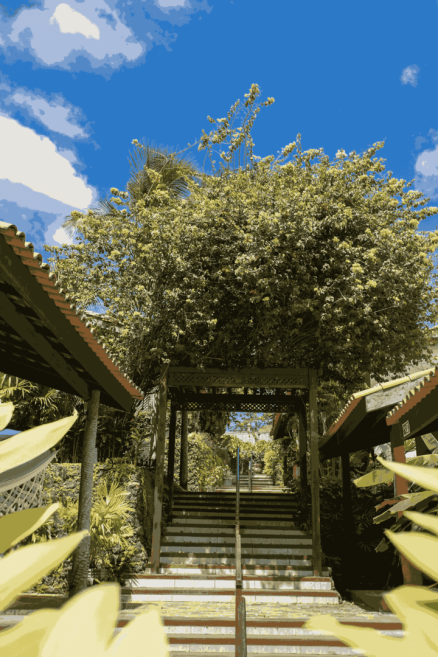 sal_5044_1_11zon_3_11zon.png