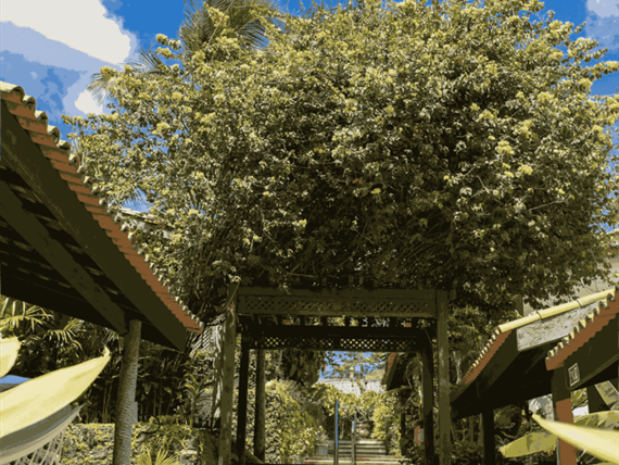 sal_5044_1_11zon_3_11zon.png