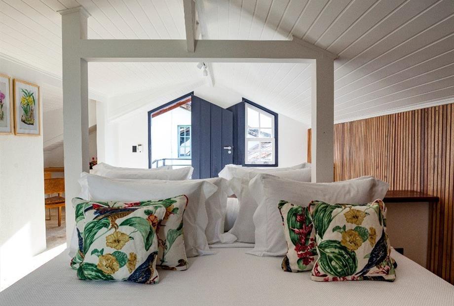 standard familia 1.jpg